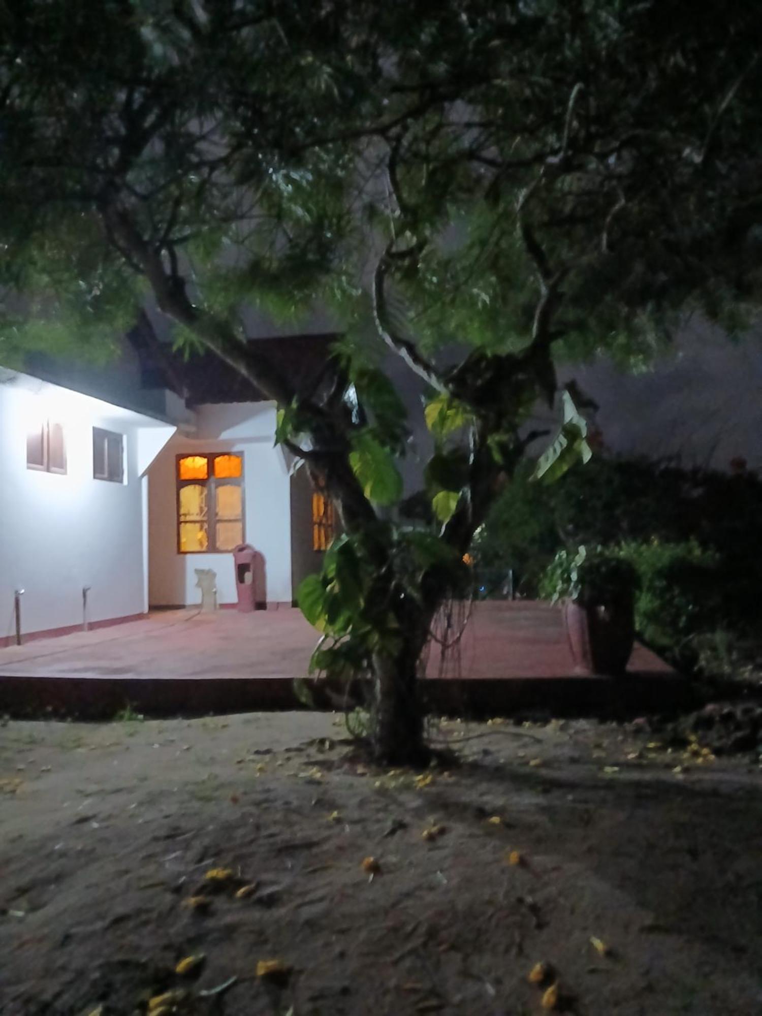 Majani Breeze Villa Nungwi Exterior photo
