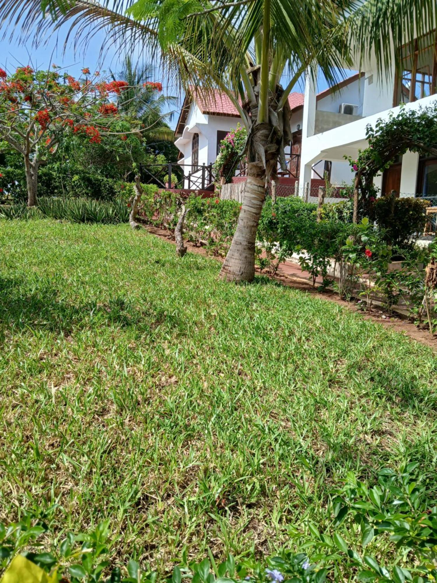 Majani Breeze Villa Nungwi Exterior photo