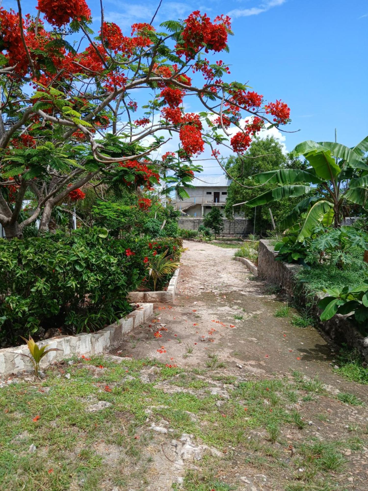 Majani Breeze Villa Nungwi Exterior photo