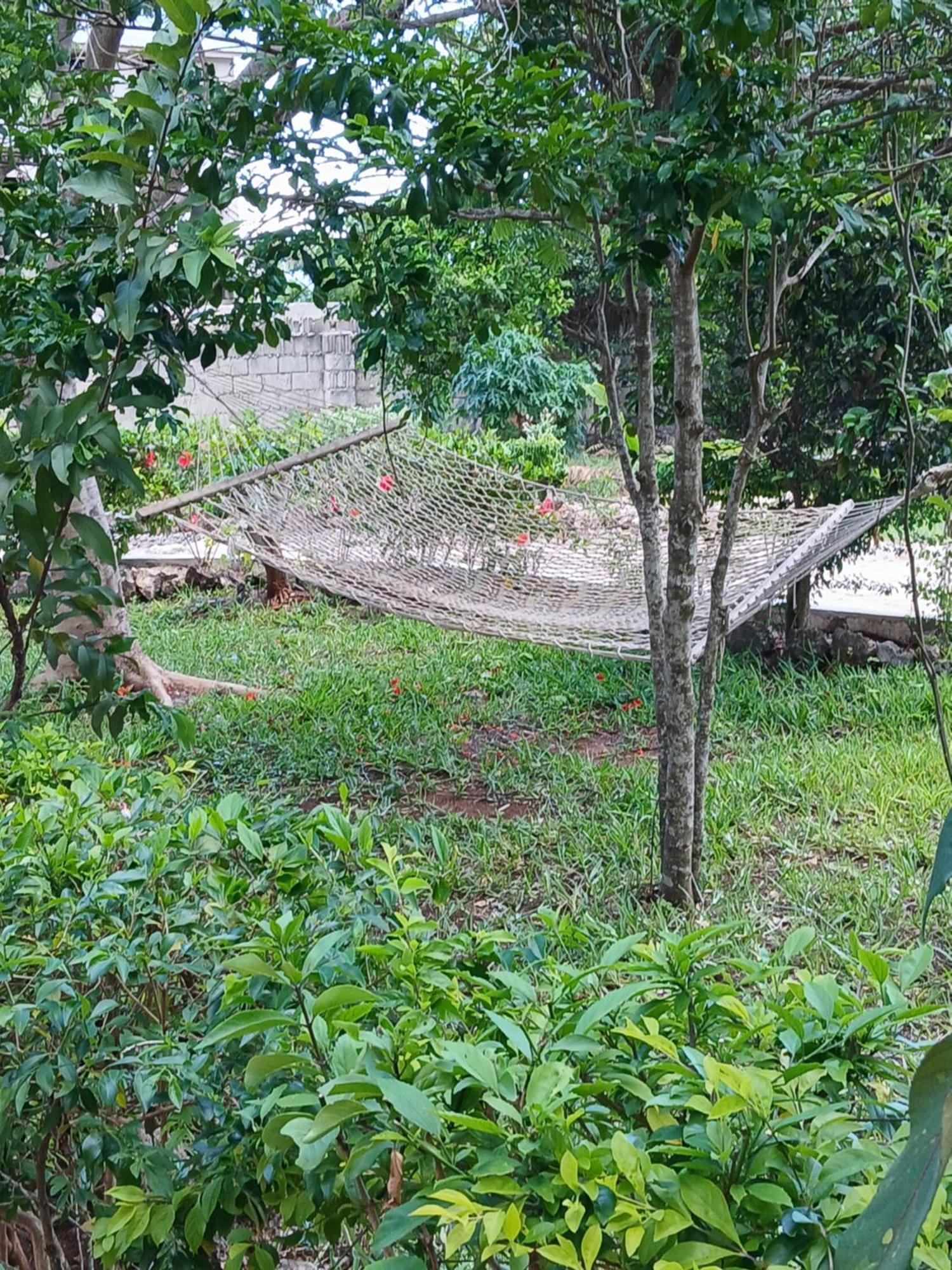 Majani Breeze Villa Nungwi Exterior photo