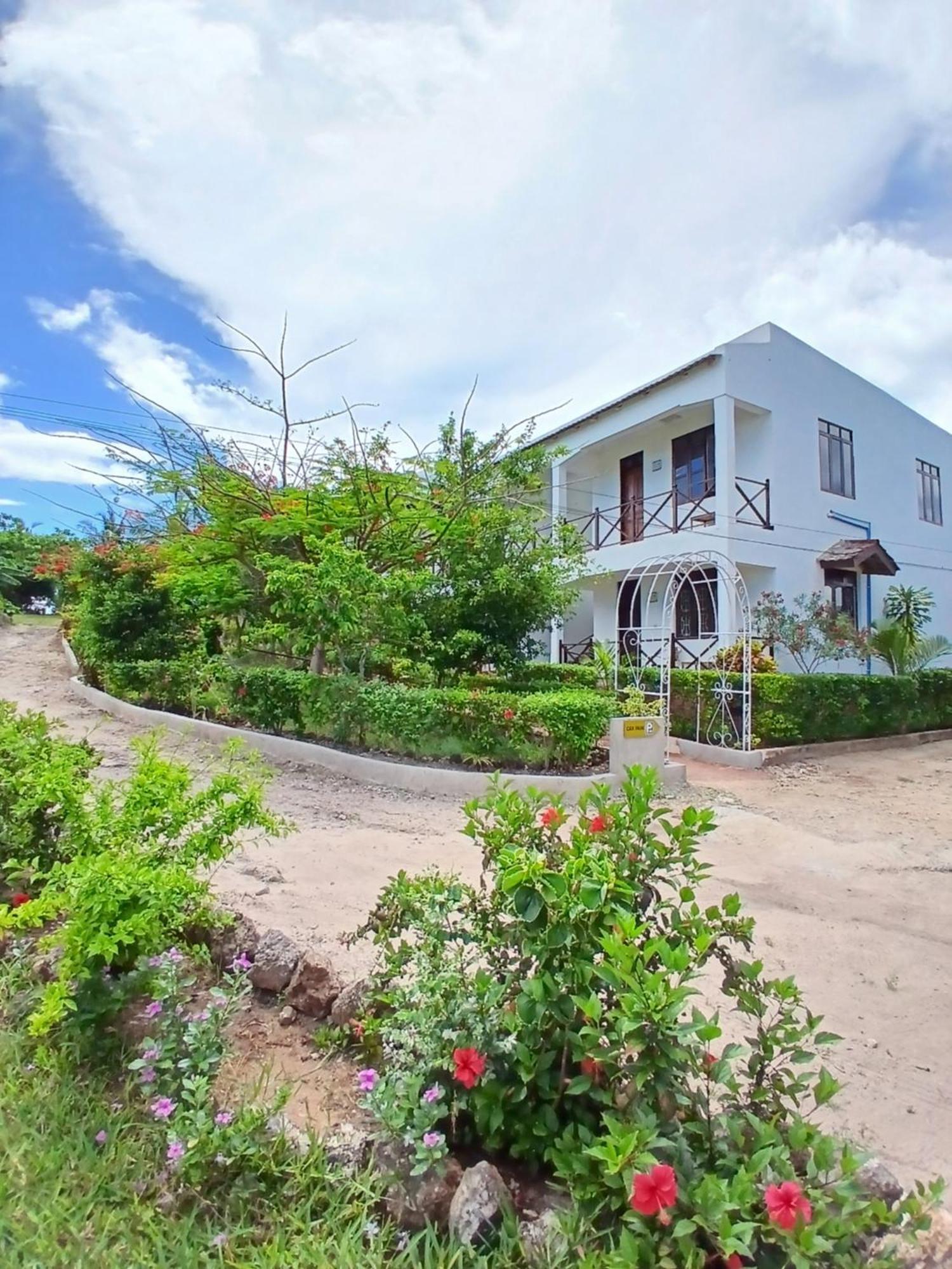 Majani Breeze Villa Nungwi Exterior photo