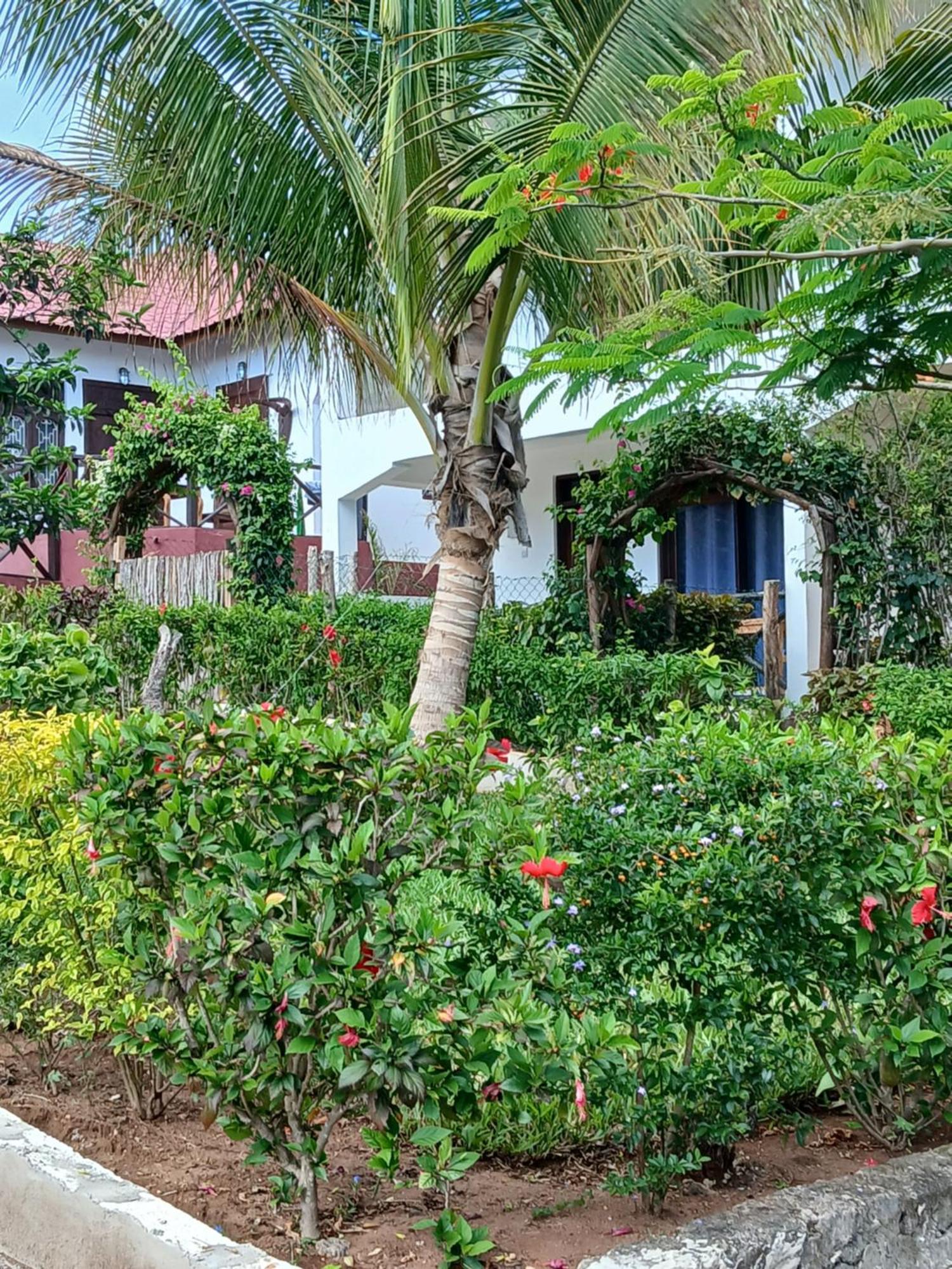 Majani Breeze Villa Nungwi Exterior photo