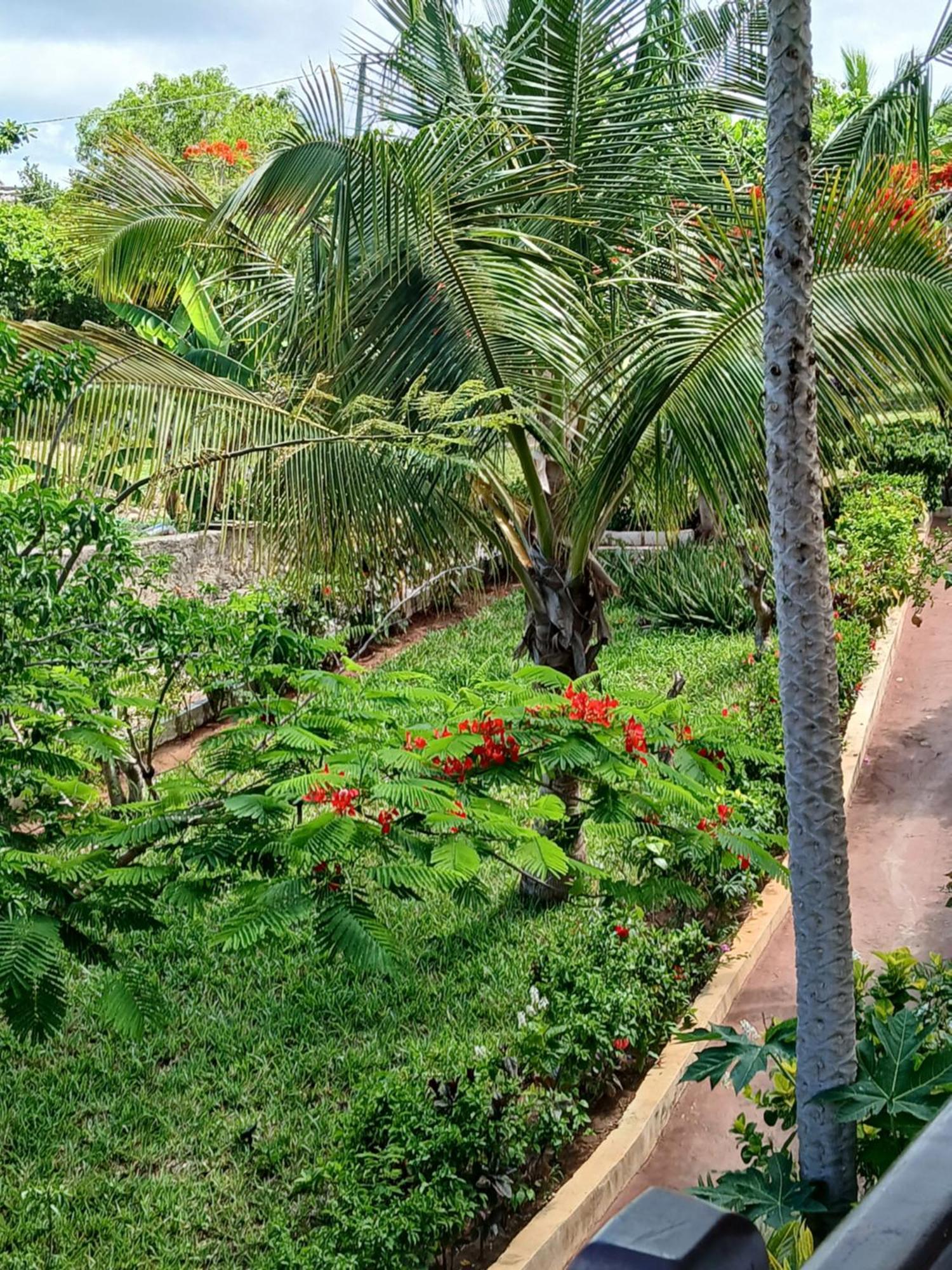 Majani Breeze Villa Nungwi Exterior photo